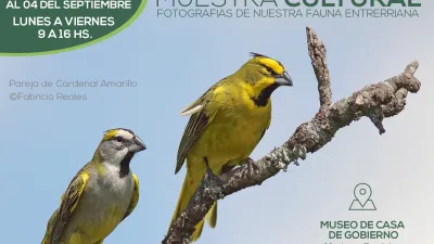 Fotografías fauna entrerriana