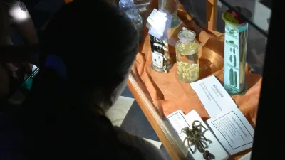 Museo Antonio Serrano 