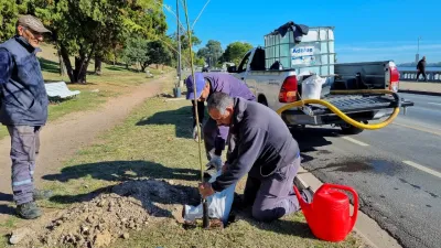 Plantan árboles en el Parque Urquiza de Paraná