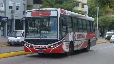 Colectivos
