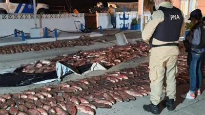 En un procedimiento llevado adelante el jueves en horas nocturnas, personal de Prefectura con asiento en Ibicuy, decomisó 3.000 kilogramos de pescado.