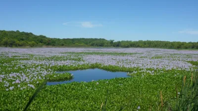 El Pre Delta es un Parque Nacional y sitio RAMSAR