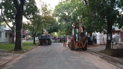 Revuelta y medioambiente