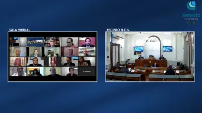 La Cámara de Senadores tuvo su primera sesión virtual