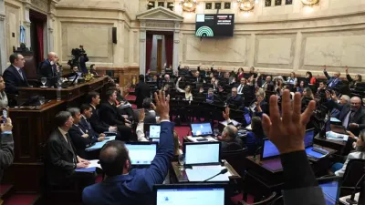 El Senado volverá a sesionar el próximo jueves y el oficialismo deberá soportar otra derrota.