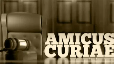 Amicus Curiae