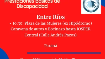 movilización federal prestaciones discapacidad