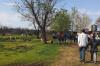 Vista previa