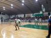 Vista previa