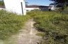 Vista previa