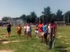 Vista previa