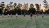 Vista previa