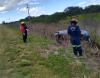 Vista previa